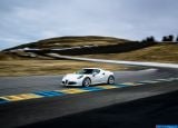 alfa_romeo_2015_4c_coupe_us-version_037.jpg