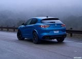 alfa_romeo_2018_stelvio_quadrifoglio_us_version_107.jpg