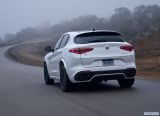 alfa_romeo_2018_stelvio_quadrifoglio_us_version_120.jpg