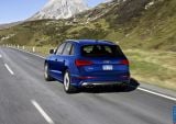 audi_2013_sq5_3_0_tfsi_010.jpg