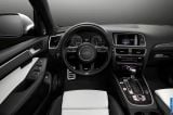 audi_2013_sq5_3_0_tfsi_013.jpg