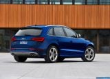 audi_2014_sq5_3_0_tfsi_009.jpg