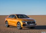 audi_2019_q8_009.jpg