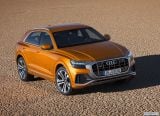 audi_2019_q8_010.jpg