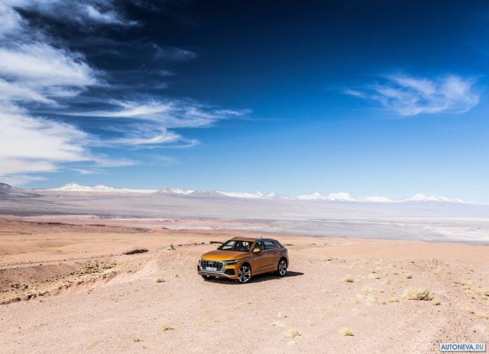 2019 Audi Q8 - фотография 17 из 177