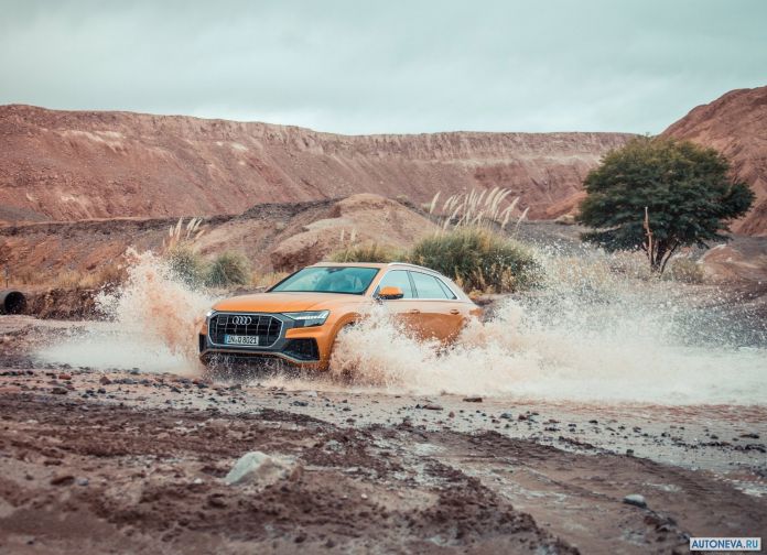 2019 Audi Q8 - фотография 48 из 177