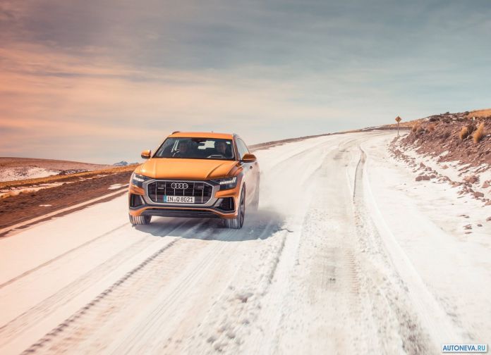 2019 Audi Q8 - фотография 52 из 177