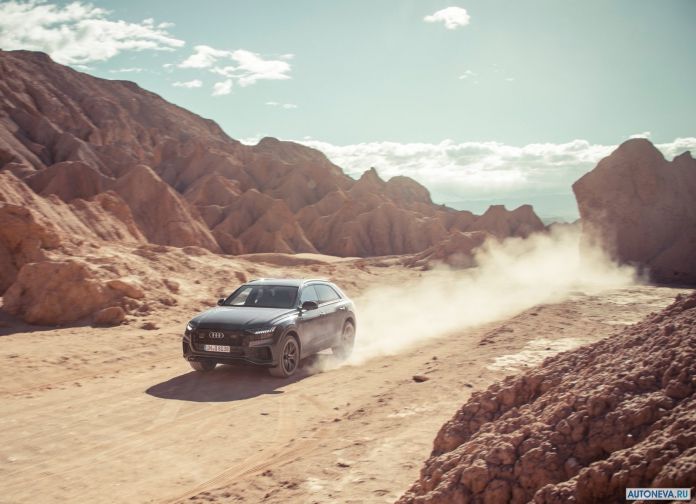 2019 Audi Q8 - фотография 54 из 177