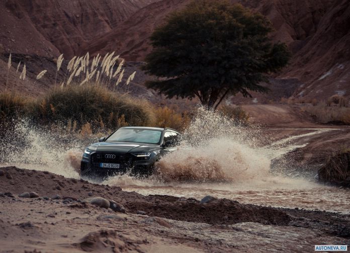 2019 Audi Q8 - фотография 55 из 177