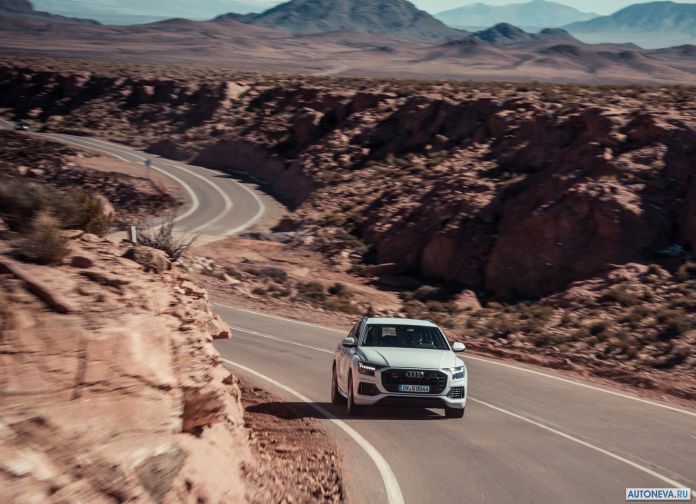2019 Audi Q8 - фотография 59 из 177