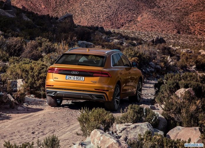2019 Audi Q8 - фотография 78 из 177