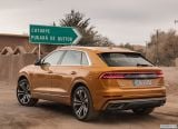 audi_2019_q8_079.jpg