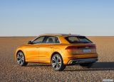 audi_2019_q8_081.jpg