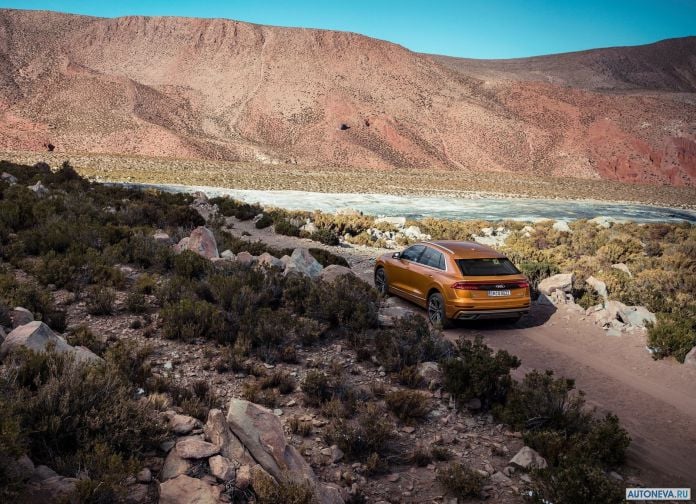 2019 Audi Q8 - фотография 84 из 177