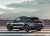 audi_2019_q8_089.jpg