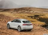 audi_2019_q8_097.jpg