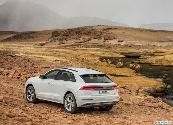 2019 Audi Q8 - фотография 97 из 177