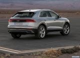 audi_2019_q8_098.jpg