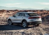 audi_2019_q8_099.jpg