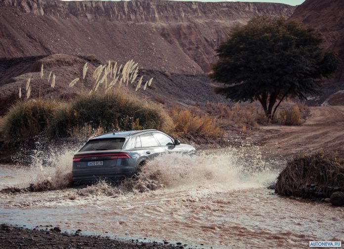 2019 Audi Q8 - фотография 116 из 177