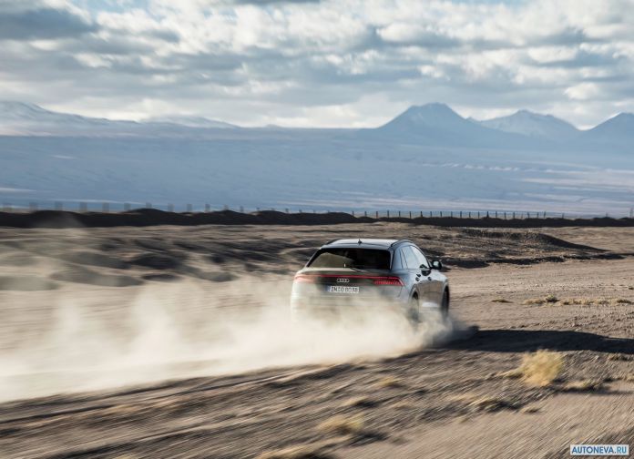 2019 Audi Q8 - фотография 117 из 177