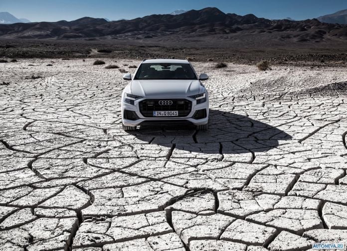2019 Audi Q8 - фотография 121 из 177