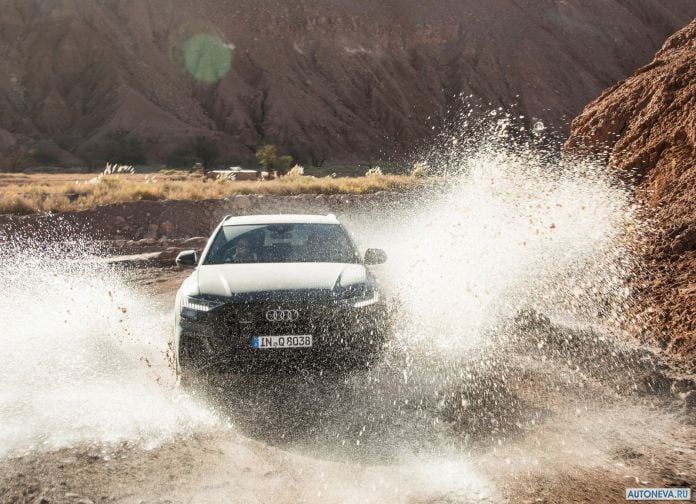 2019 Audi Q8 - фотография 126 из 177