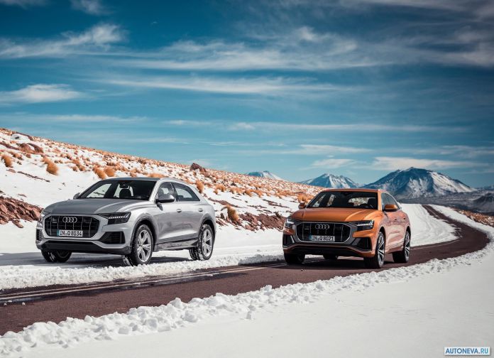2019 Audi Q8 - фотография 136 из 177