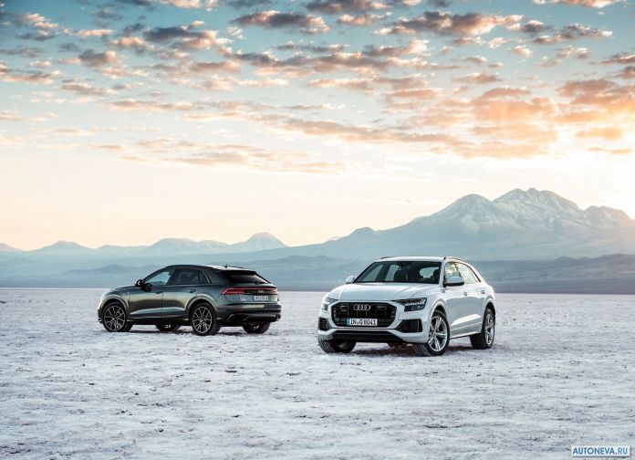 2019 Audi Q8 - фотография 137 из 177