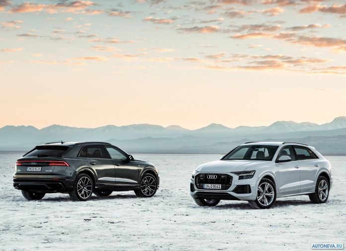 2019 Audi Q8 - фотография 138 из 177