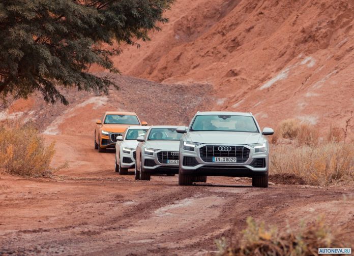 2019 Audi Q8 - фотография 147 из 177