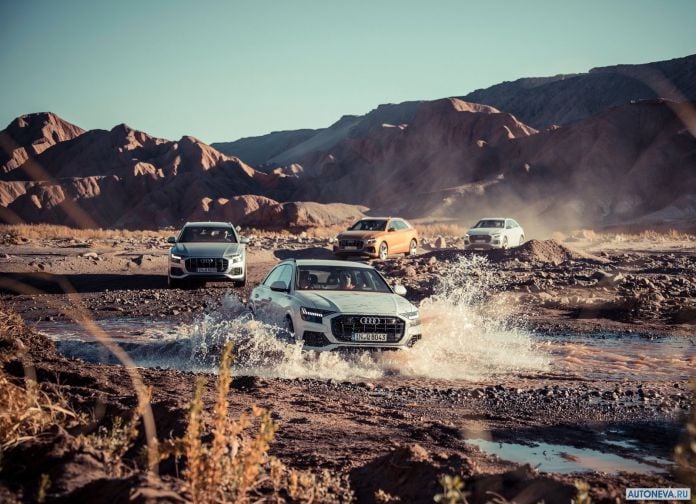 2019 Audi Q8 - фотография 149 из 177