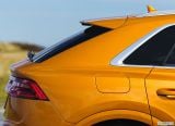 audi_2019_q8_uk_version_101.jpg