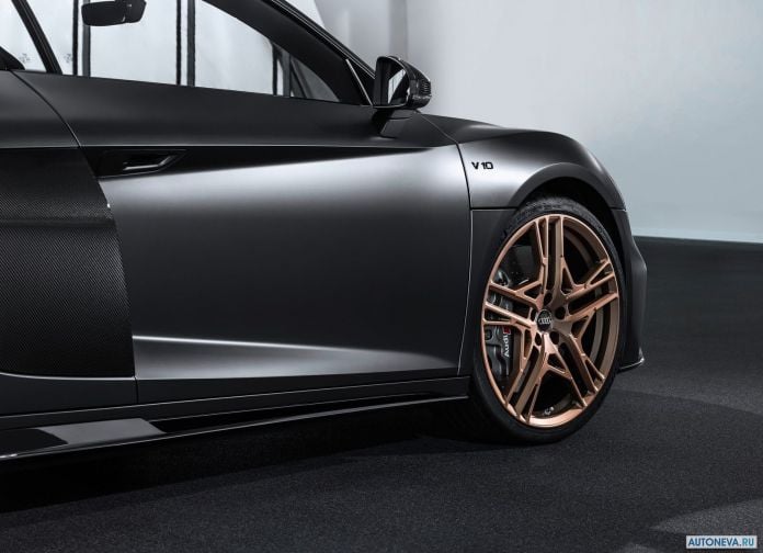 2019 Audi R8 V10 Decennium - фотография 13 из 15