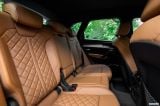 audi_2020_sq5_3_0_tdi_033.jpg