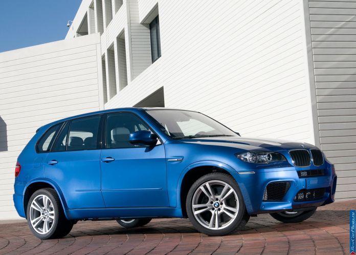 2010 BMW X5 M - фотография 4 из 29