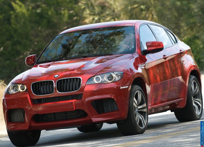 2010 BMW X6 M - фотография 4 из 61