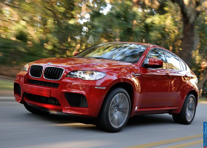 2010 BMW X6 M - фотография 6 из 61