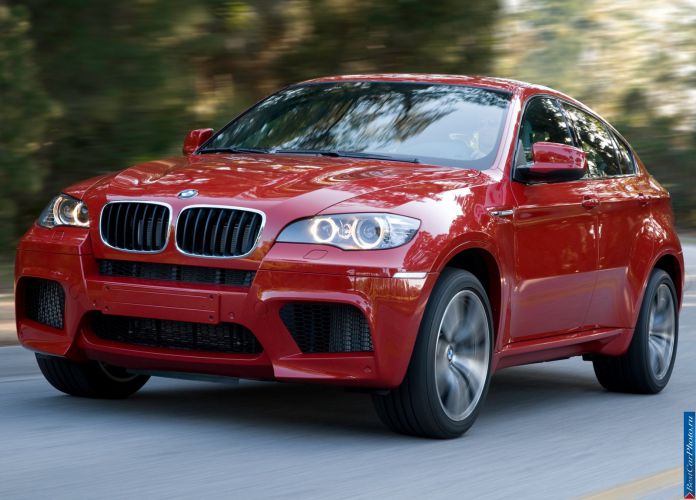 2010 BMW X6 M - фотография 8 из 61