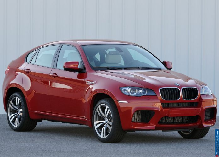 2010 BMW X6 M - фотография 9 из 61