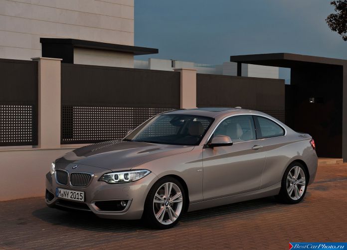 2014 BMW 2-Series Coupe - фотография 3 из 48