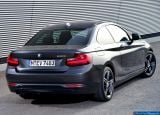 bmw_2014_2-series_coupe_019.jpg