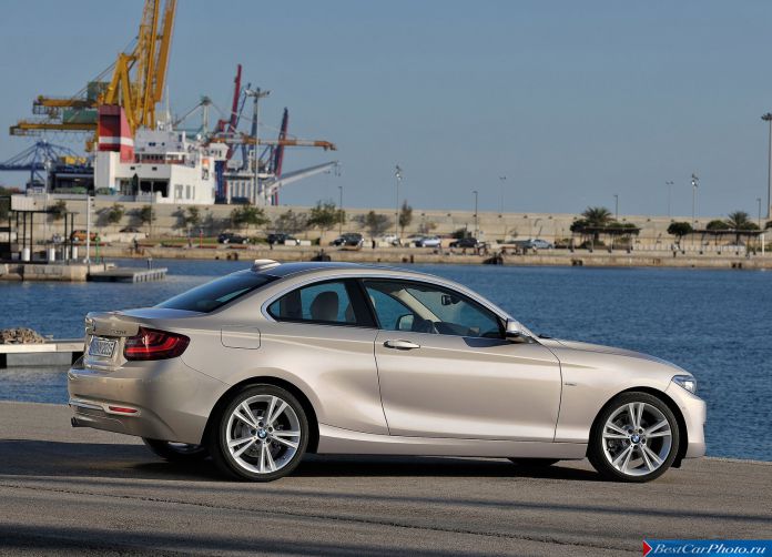 2014 BMW 2-Series Coupe - фотография 22 из 48