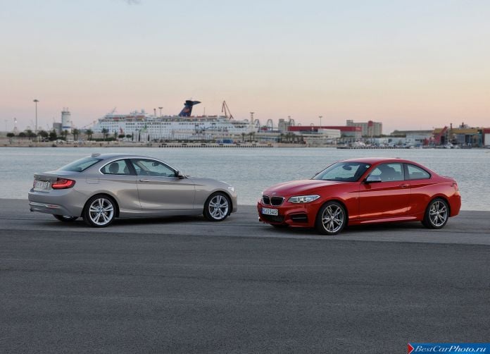 2014 BMW 2-Series Coupe - фотография 29 из 48