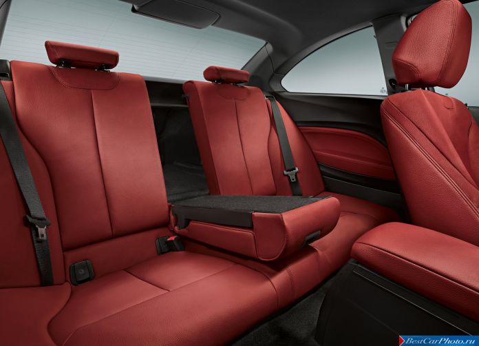 2014 BMW 2-Series Coupe - фотография 39 из 48