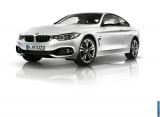 2014_4_series_coupe_051.jpg