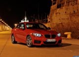 bmw_2014_m235i_coupe_011.jpg