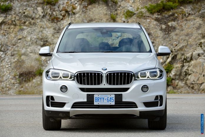 2014 BMW X5 - фотография 3 из 179