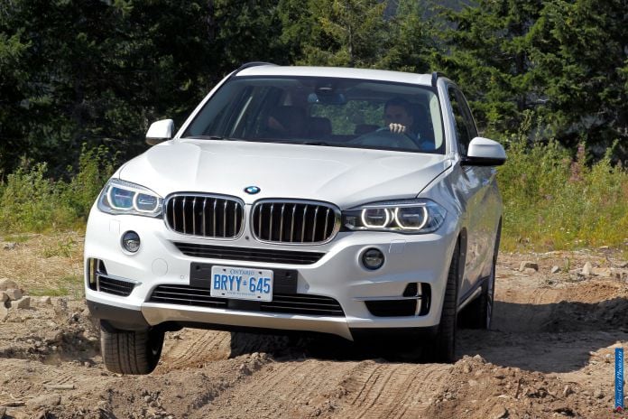 2014 BMW X5 - фотография 12 из 179