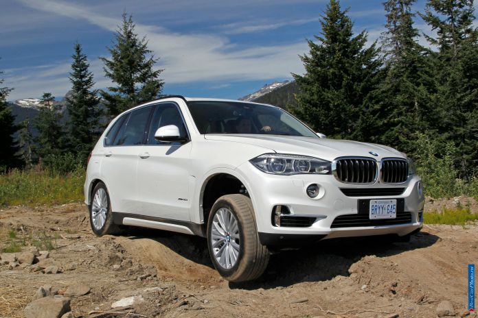 2014 BMW X5 - фотография 17 из 179